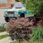 Illustration du profil de Lebon